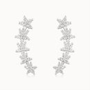 Stellacrescente
