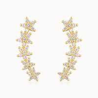 Stellacrescente