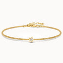 Luce Stella